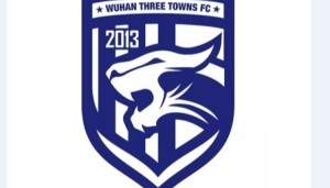 武汉足管中心主任：武汉三镇正推进股改事宜，已做好净资调查工作